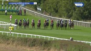 Video preview image for Goodwood 16:10 - Telegraph Nursery Handicap (2)