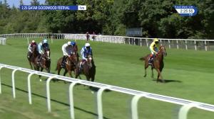 Video preview image for Goodwood 14:25 - Bonhams Thoroughbred Stakes (Group 3) (1)