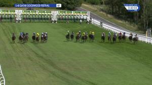 Video preview image for Goodwood 15:40 - Unibet Stewards' Cup (Heritage Handicap) (2)