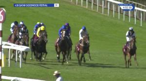 Video preview image for Goodwood 16:50 - Qatar Handicap (2)
