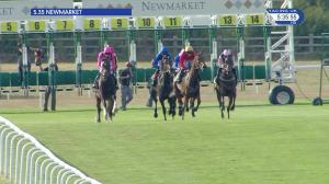 Video preview image for Newmarket 17:35 - Federation Of Bloodstock Agents Handicap (4)