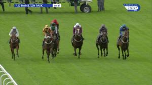 Video preview image for Hamilton Park 19:50 - Dickies Bar Dumfries Handicap (5)
