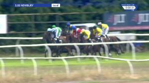 Video preview image for Newbury 17:00 - Elm Farm Country Park Essex Handicap (5)