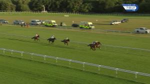 Video preview image for Haydock Park 19:55 - smarkets.com Handicap (4)