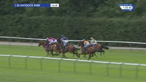Video preview image for Haydock Park 13:55 - Smarkets Haydock Park Ladies' Trophy Handicap (Pro-Am Lady Riders') (3)