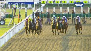 Video preview image for Kempton Park 19:30 - Breeders Backing Racing EBF Fillies' Novice Stakes (5) (Div 2)