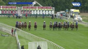 Video preview image for York 14:25 - Goffs UK Premier Yearling Stakes (2)