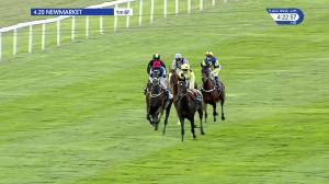 Video preview image for Newmarket 16:20 - Tba #thisfillycan Fillies' Handicap (2)