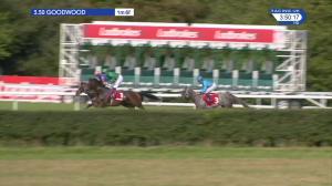 Video preview image for Goodwood 15:50 - Ladbrokes March Stakes (Group 3) (1)