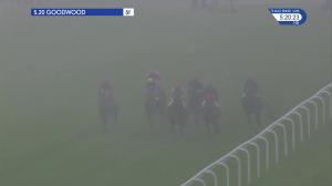 Video preview image for Goodwood 17:20 - Sussex Roof Garden Handicap (5)