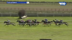 Video preview image for Catterick Bridge 15:30 - Book Now For 22nd September Handicap (4)