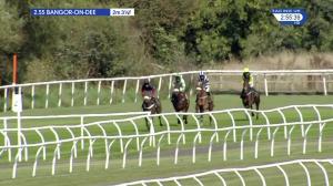Video preview image for Bangor-On-Dee 14:55 - Horseradish Novices' Hurdle (4)