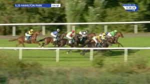 Video preview image for Hamilton Park 17:25 - Whysettle It Novice Stakes (Qualifier) (5)