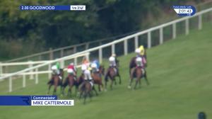 Video preview image for Goodwood 14:00 - Roa/Racing Post Owners' Jackpot Handicap (5)