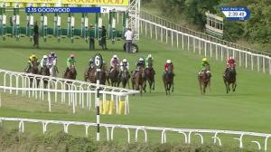 Video preview image for Goodwood 14:35 - Netbet Best Odds guaranteed/EBF Fillies' Novice Stakes (5)