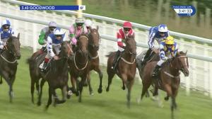 Video preview image for Goodwood 15:40 - Racegoers Club 50th Anniversary Fillies' Nursery Handicap (2)