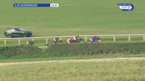 Video preview image for Goodwood 17:20 - netbet.co.uk Novice Stakes (5)