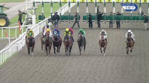 Video preview image for Kempton Park 17:45 - 100% Profit Boost At 32redsport.com Classified Claiming Stakes (5)