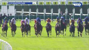 Video preview image for Sandown Park 15:25 - British Stallion Studs EBF Novice Stakes (5)