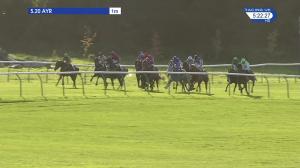 Video preview image for Ayr 17:20 - H&V Commissioning Services Ltd Handicap (5)