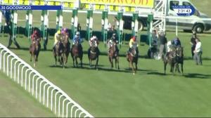 Video preview image for Goodwood 14:30 - Maltsmiths Optional Claiming Handicap (2)