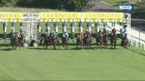 Video preview image for Goodwood 15:05 - Drink Warehouse UK Imperial Handicap (4)