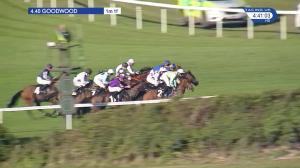 Video preview image for Goodwood 16:40 - Birra Moretti Handicap (4)