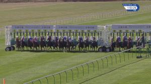 Video preview image for Newmarket 13:50 - Bonhams EBF Maiden Stakes (4)