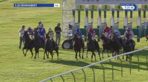 Video preview image for Newmarket 17:20 - Molson Coors Handicap (3)