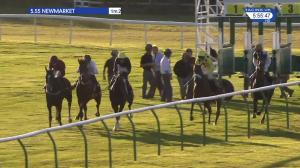 Video preview image for Newmarket 17:55 - Newmarket Challenge Whip Handicap (4)