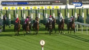 Video preview image for Haydock Park 16:25 - Mccaffrey Mortgages Ten Year Anniversary Handicap (3)