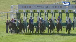 Video preview image for Newmarket 16:15 - Blandford Bloodstock Maiden Fillies' Stakes (4) (Div 1)