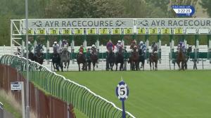 Video preview image for Ayr 15:15 - Weatherbys Global Stallions App Handicap (5)