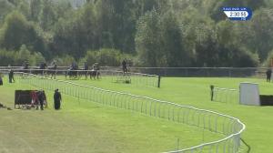 Video preview image for Huntingdon 14:30 - Smarkets Novices' Hurdle (4)
