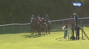 Video preview image for Warwick 16:55 - Roa/Racing Post Owners' Jackpot Mares' Handicap Hurdle (4)