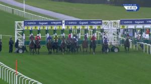 Video preview image for Ascot 16:45 - Mcgee Group Handicap (3)