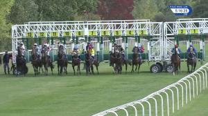 Video preview image for Pontefract 17:15 - procurementseminars.co.uk Handicap (5)