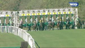 Video preview image for Leicester 14:50 - Stoat Selling Stakes (6)