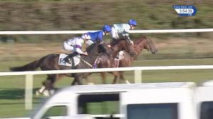 Video preview image for Leicester 15:50 - Squirrel Handicap (2)