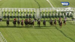 Video preview image for Catterick Bridge 16:45 - Wise Betting At racinguk.com Handicap (5)