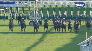 Video preview image for Leicester 17:30 - Red Deer Handicap (5) (Div 2)