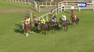 Video preview image for Ludlow 16:40 - Ludlow Brewery Conditional Jockeys' Handicap Hurdle (4)