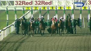 Video preview image for Kempton Park 20:10 - ebfstallions.com Conditions Stakes (3)