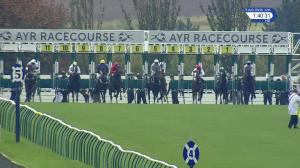 Video preview image for Ayr 13:35 - Book Christmas Parties At Ayr Racecourse Novice Stakes (5)