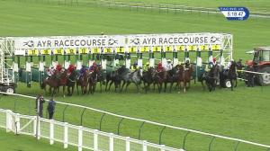 Video preview image for Ayr 17:15 - Racecourse Christmas Tribute Nights Handicap (6)