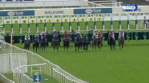 Video preview image for York 15:15 - British EBF Supporting Racing To School Novice Stakes (3)