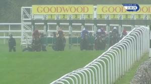 Video preview image for Goodwood 14:35 - Netbet Best Odds Guaranteed EBF Novice Auction Stakes (5)