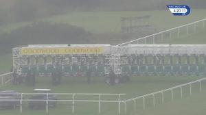 Video preview image for Goodwood 16:20 - Goodwood Racehorse Owners Group Handicap (2)