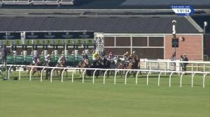 Video preview image for Musselburgh 13:50 - Watch More With Racing UK Extra Selling Stakes (5)