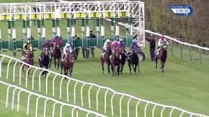 Video preview image for Leicester 14:00 - British Stallion Studs EBF Novice Stakes (4)